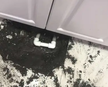 亚东查漏水哪家好